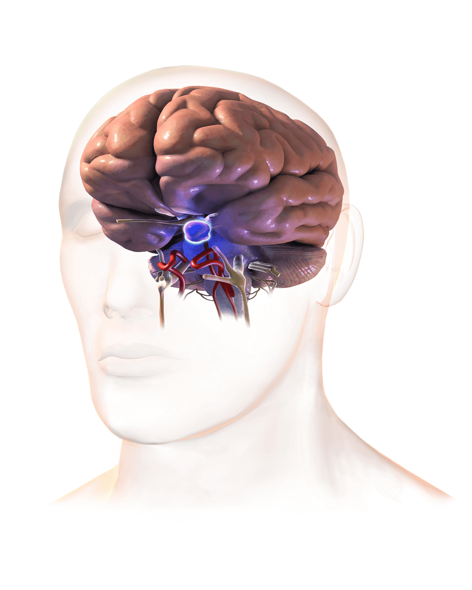 Pathological anatomy